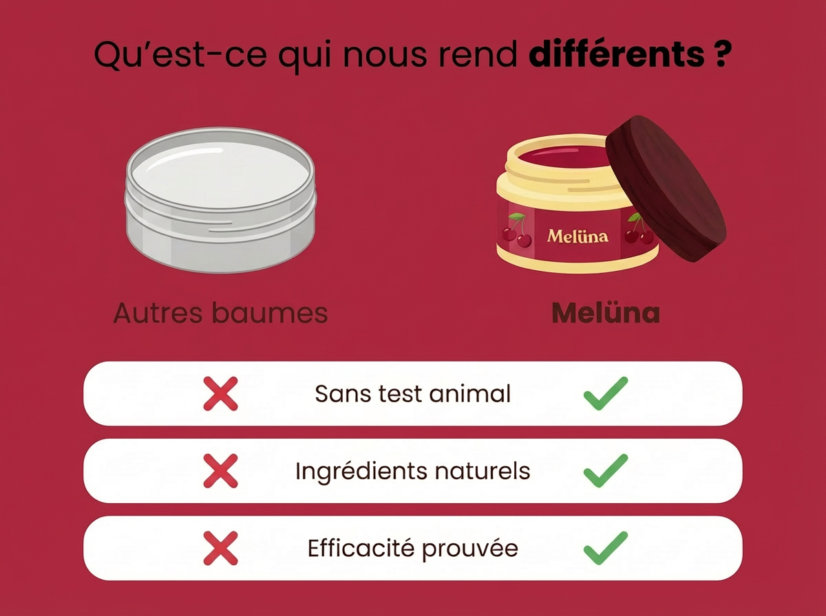 Le Fondant A La Cerise